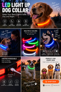 LED Light Up Dog Collar